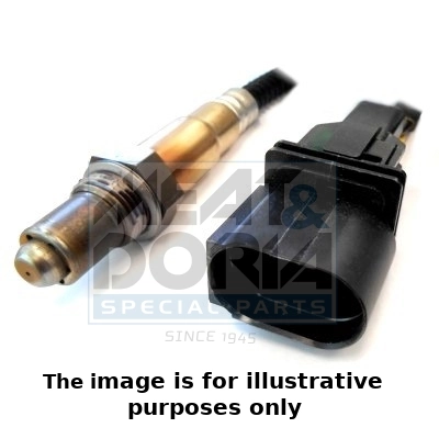 Oxygen Sensor